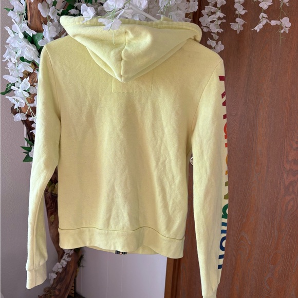 Aviator Nation Light Lime Green Zip Hoodie with Rainbow Logo Venice CA 🌊 🌈 - Picture 5 of 7